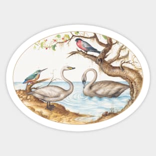 Two Swans, Kingfisher, and Bullfinch (1575–1580) Sticker